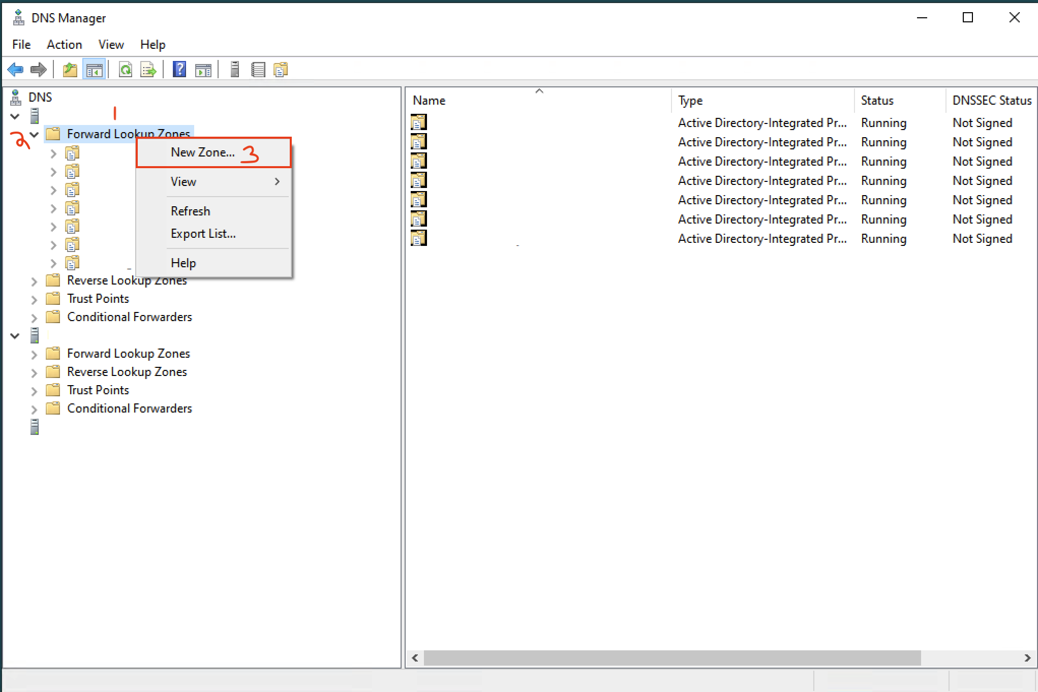 Snipe-IT DNS 01